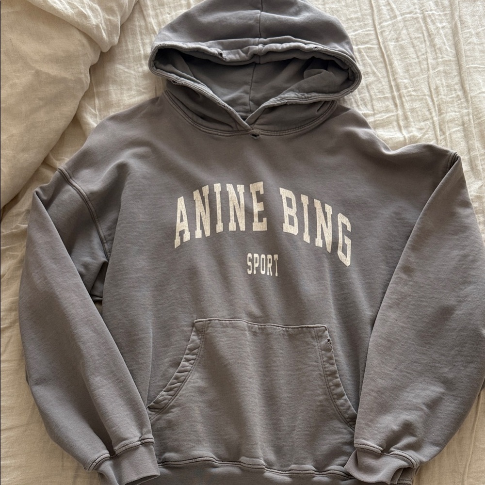Anine Bing Gray Hoodie